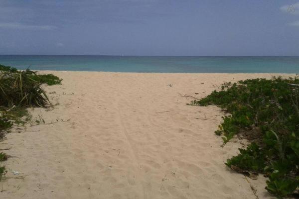 Beach Nest Apt. 2ブリッジタウン エクステリア 写真